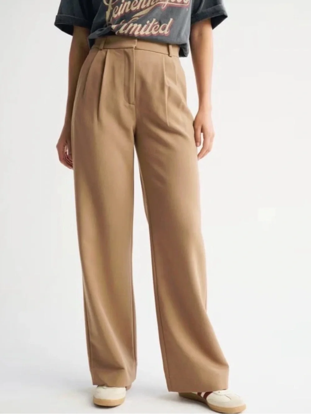 Abercrombie & Fitch Sloane Tailored Pleated Wide Leg Pant In Brown 10 / 30 Short - Picture 1 of 6